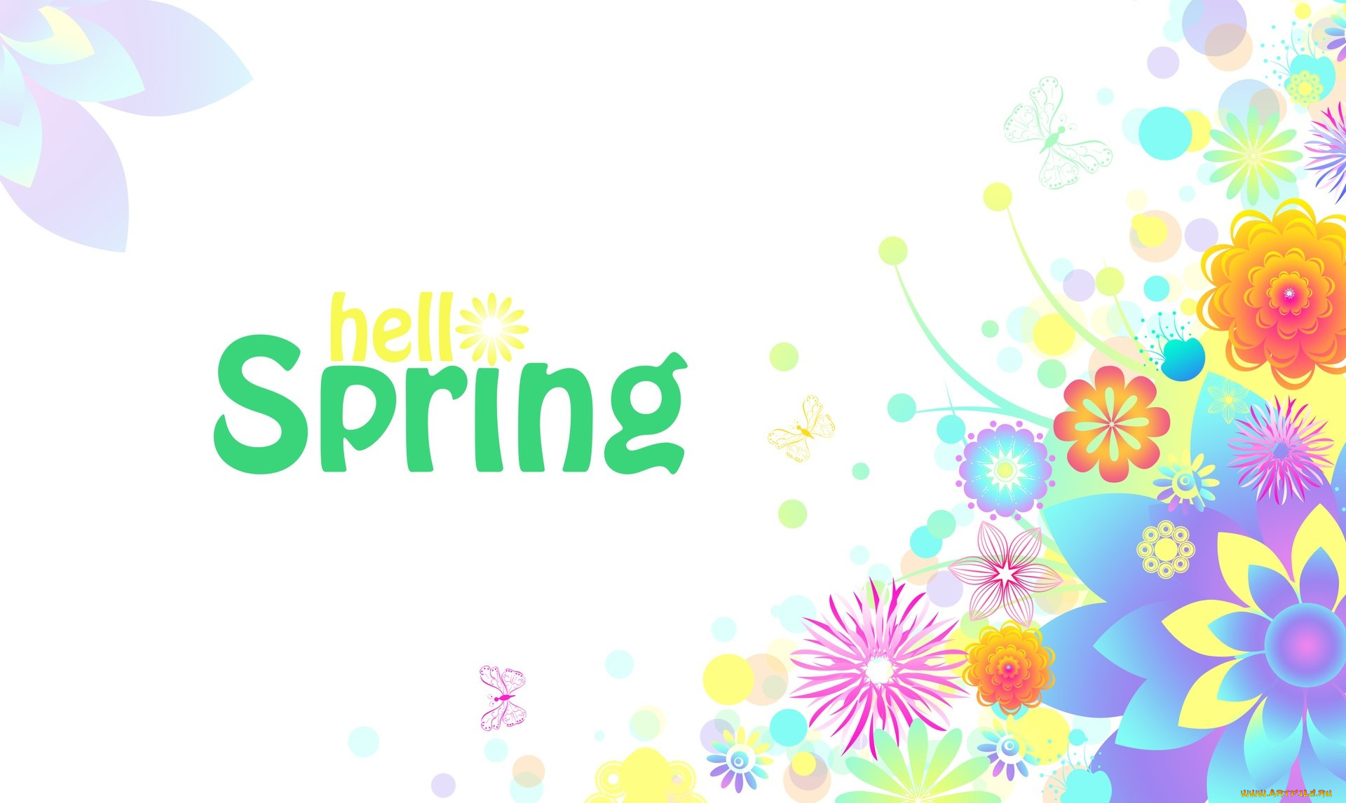  ,  , flowers, , 